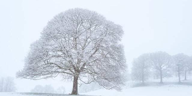 PVS-Buitenleven-Blog-veranda-winterklaar-01